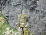 Cliffs of Moher (3).JPG